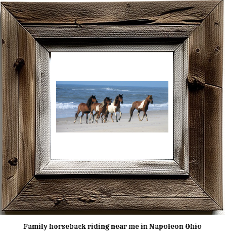 family horseback riding near me in Napoleon, Ohio